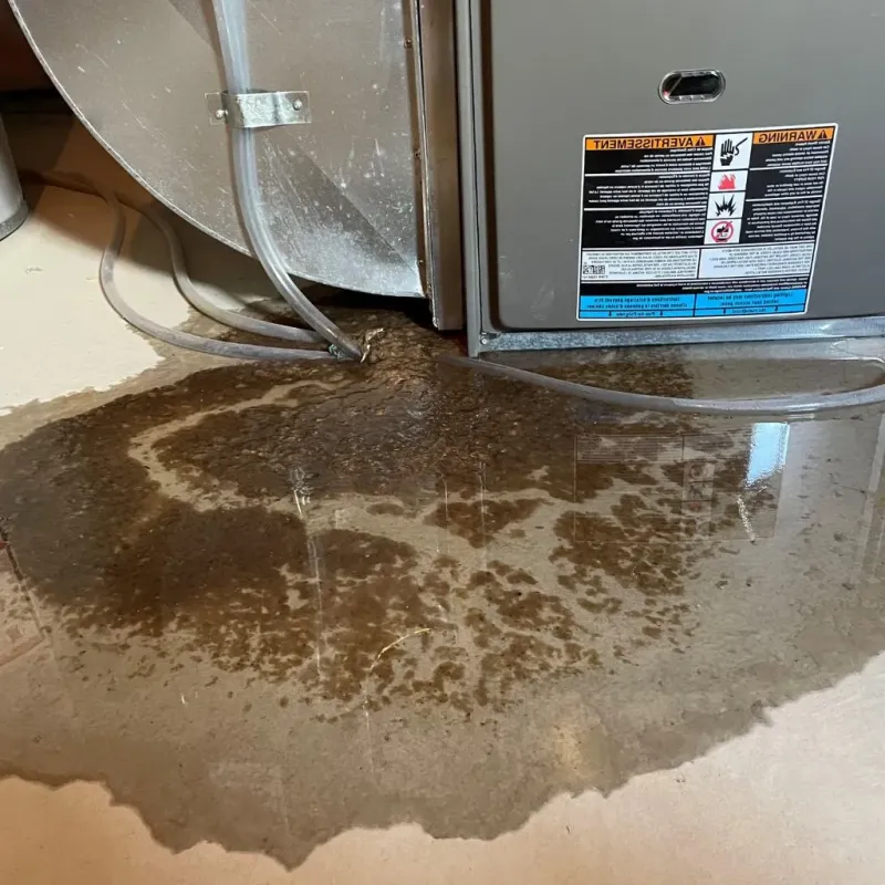 Pipe Burst and Leak Restoration in South Pottstown, PA