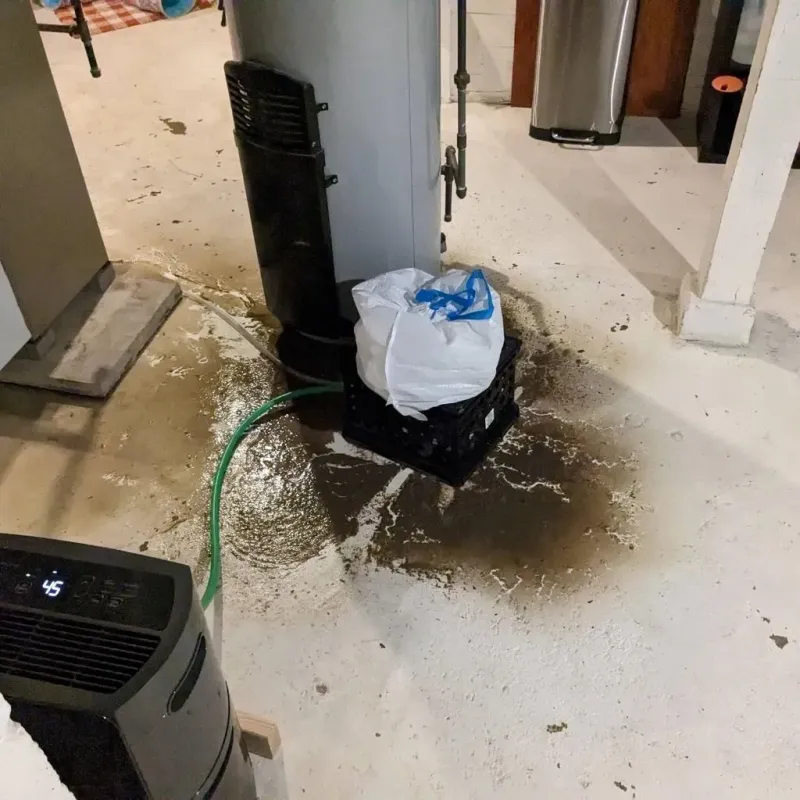 Sewage Backup Cleanup Service in South Pottstown, PA